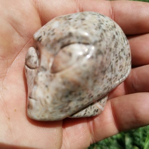 Peut inclure: Une sculpture en pierre sculptée d'une tête d'extraterrestre aux yeux fermés. La sculpture est faite d'une pierre brun clair et blanche avec un motif moucheté.