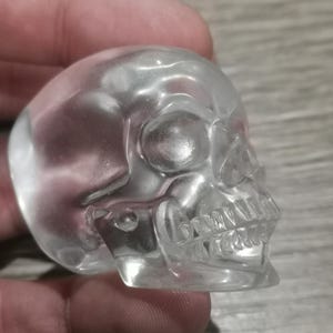 Peut inclure: Une figurine de crâne transparente et claire. Le crâne est détaillé avec des dents, des orbites et une cavité nasale visibles. Le matériau semble être du verre ou du cristal, reflétant la lumière. Le crâne est tenu dans une main.