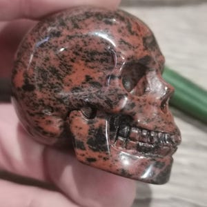 Peut inclure: Une sculpture de crâne en pierre tachetée de rouge et de noir. Le crâne est sculpté en détail avec une mâchoire définie et des dents.