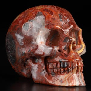 Peut inclure: Sculpture de crâne en agate rouge, blanche et noire. Le crâne est sculpté dans une seule pièce d'agate et présente des détails complexes.