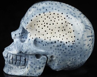 RESERVER -> Monique C /  Eponge Bleu , Sculpture Crâne , fossile très rare/ Méditation / Cranio