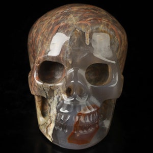 Peut inclure: Une sculpture de crâne en agate détaillée avec des bandes d'agate brunes, blanches et rouges. Le crâne est sculpté avec des traits réalistes, y compris des orbites, un nez et des dents.