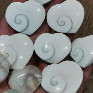 Heart of Shiva, Shell of Saint Lucia, Eye of Venus