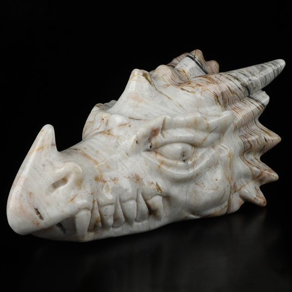 Jaspe Girafe  /  Sculpture Tête de Dragon Cristal / Pierre naturelle de collection , Skull Dragon collector