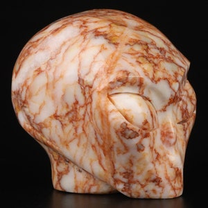 May include: A white and orange marble alien skull sculpture. The skull is carved with detailed features, including eyes, a nose, and a mouth.