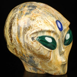 Könnte beinhalten: Ein geschnitzter Alien-Schädel aus versteinertem Holz mit grünen und blauen Edelsteinaugen.
