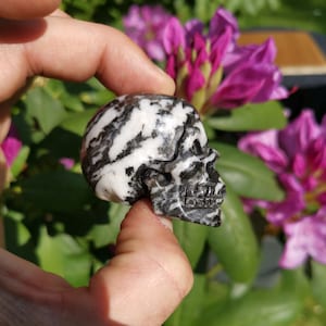 Peut inclure: Un crâne noir et blanc sculpté dans une pierre polie. Le crâne est détaillé avec des sculptures complexes des traits du visage.