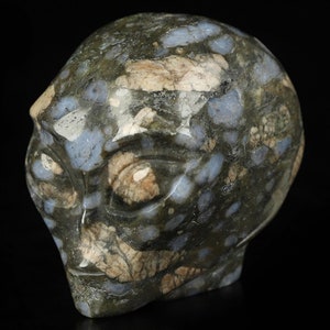 Peut inclure: Une sculpture de crâne d'alien en pierre polie, de couleur verte et bleue. Le crâne présente un visage détaillé avec de grands yeux et un nez proéminent.