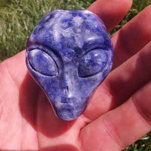 Peut inclure: Une tête d'extraterrestre sculptée en sodalite bleue et blanche.