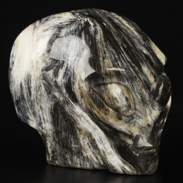 2" Bois Fossile , Noir et Blanc  Crâne Alien Roswell , minéraux sculpté  de collection / Black Woodlike / REIKI  Skull