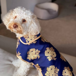 Indian dog outfit, Dog kurta, pet clothing, dog Indian wedding outfit