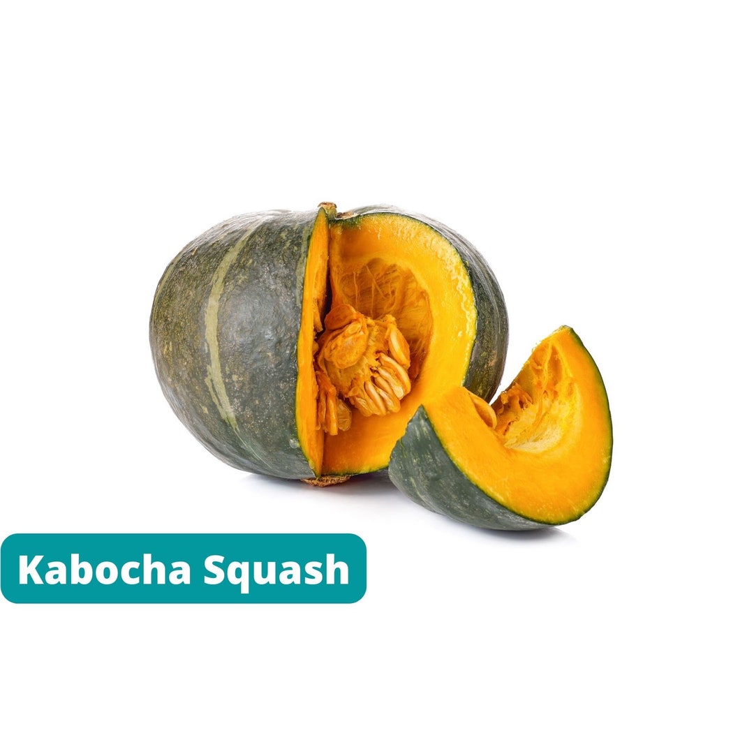 Kabocha Squash 20 Seeds Winter Squash Japanese Pumpkin Etsy