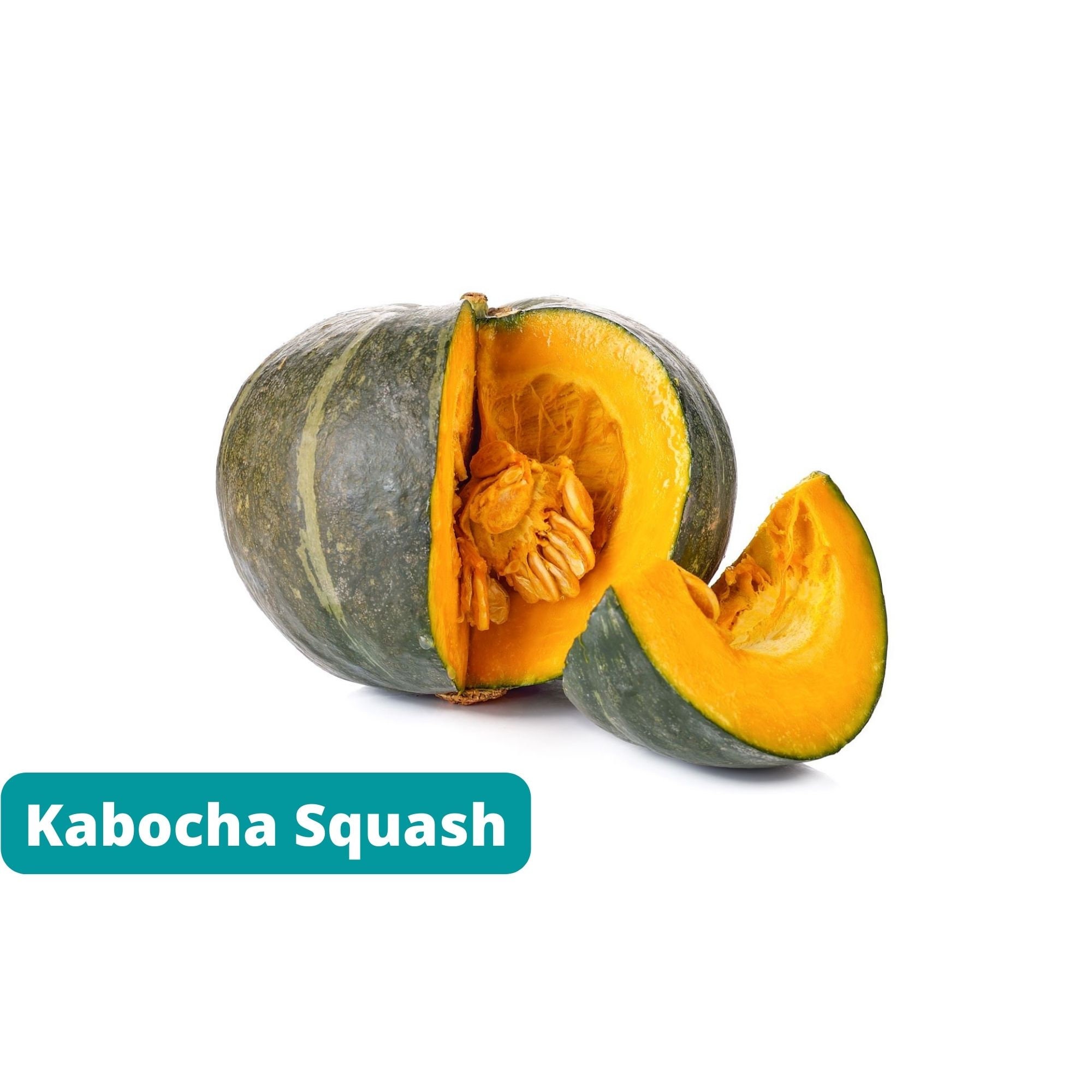 Kabocha Squash 20 Seeds Winter Squash Japanese Pumpkin Etsy