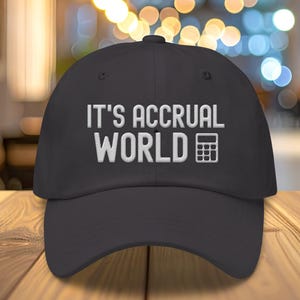 Its Accrual World | Funny Accountant Joke Cap | Unisex Embroidered Hat