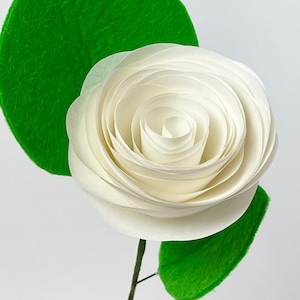 Rosa di carta pergamenata