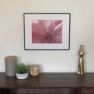 Pink Cherry Blossom Nature Photography Print Floral Photography Botanicals Pink Artwork Matted Photo Print Macro Photography 16x20 mat -11x14 img inches