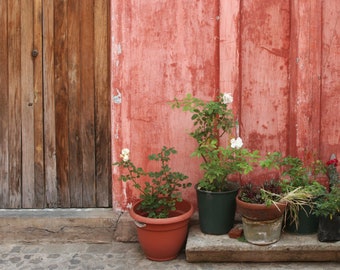 Curb Appeal in Antigua Guatemala - Color Photography Print | Peeling Paint | Matted Photo Print | Guatemala