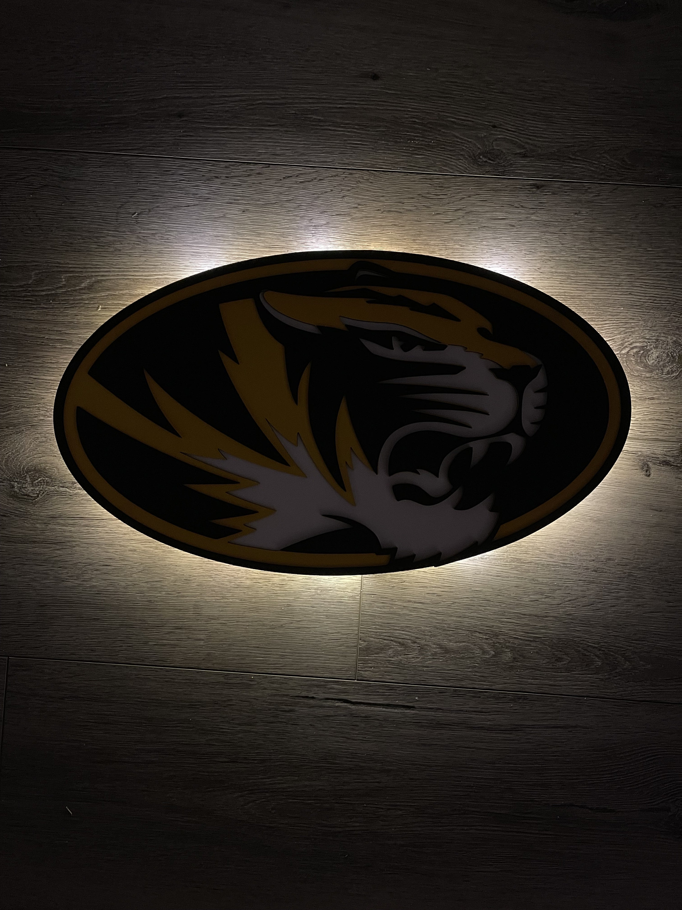Mizzou 3d Sign With Back Light - Etsy