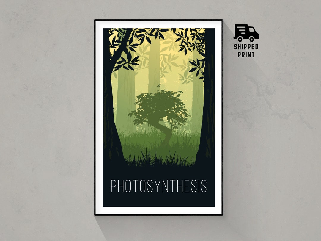 Photosynthesis, Board Game Poster Print, Minimalist Wall Art - Etsy
