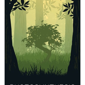 Photosynthesis, Board Game Poster Print, Minimalist Wall Art - Etsy