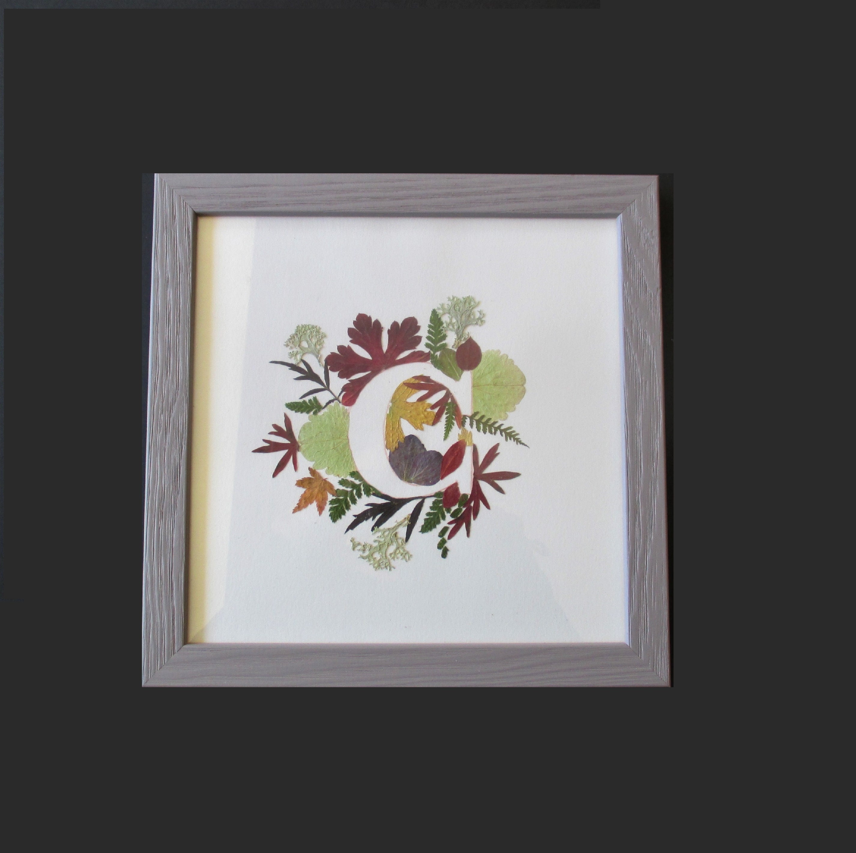 Lettrine Végétale Tableau Composé de Fleurs et Plantes Naturelles Séchées Autour La Lettre C, Décora