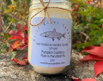 Pumpkin Cranberry 12 oz Candle