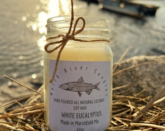 White Eucalyptus Scented Coconut Soy Candle