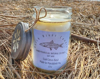 Cool Citrus Basil scented coconut soy candle