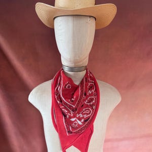Red Cashmere Western Bandana