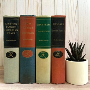 Vintage Modern Library Large Books Book Decor Multicolored Book Decor Classic Literature Shabby Farmhouse Decor Midcentury Modern Decor