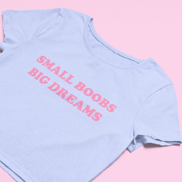 Small Boobs Big Dreams Crop Top | Flowy Crop Top | Y2K Shirt | Graphic Shirt | Gift for Girlfriend | Y2K  Tee | 2000's Crop Top