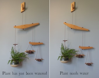 Planter indicates when water is low. A unique planter, mobile, and kinetic art piece, all-in-one.