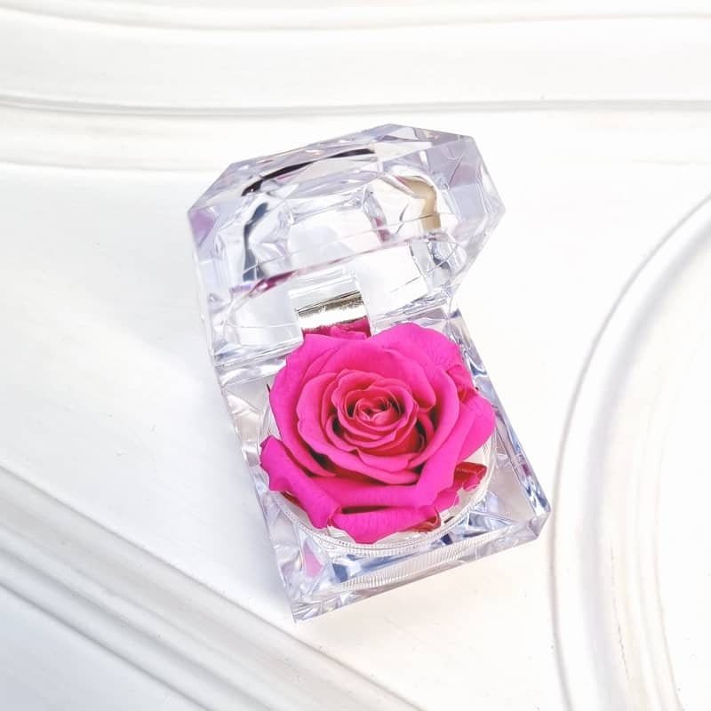 Bouton de Rose Éternelle Precioso Fuchsia