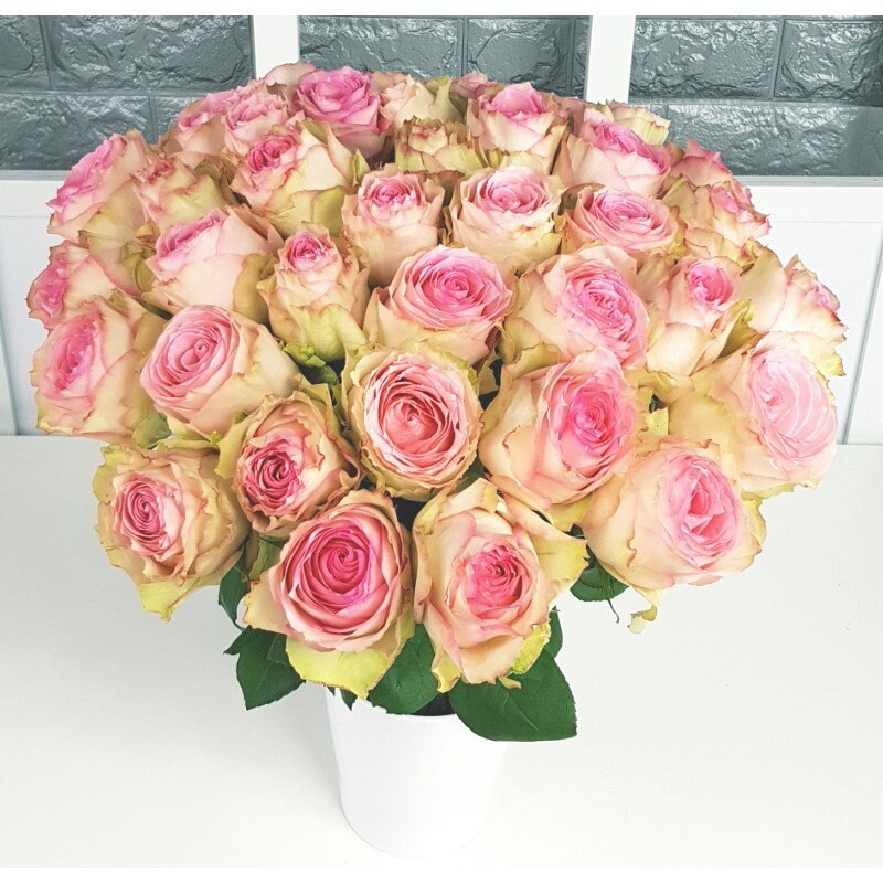 Bouquets de Roses Frais Rosetta