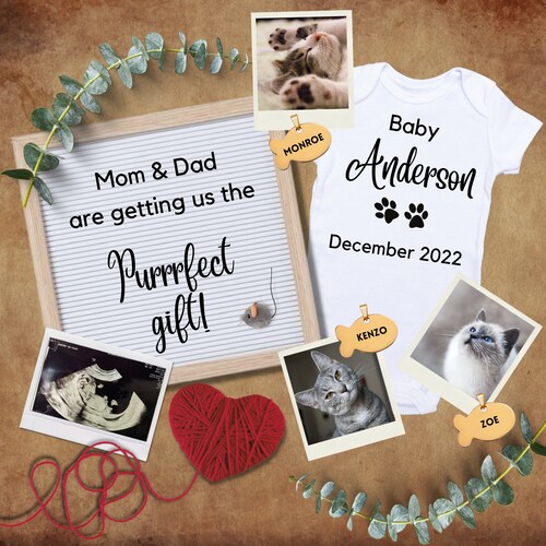 Pregnancy Announcement Kitties Cats Furbabies Three Etsy