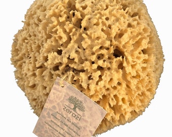 Zerazi | 100% Natural Sea Sponge | 10-12cm | Hygienic | From responsible culture