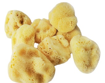 Natural Zimouka sponge for gentle make-up removal: Effectively remove make-up while preserving the beauty of your skin