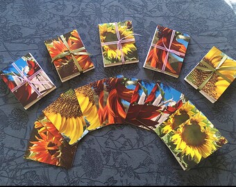 Set A- Sunflower Notecard Sets from my Sunflower Patch