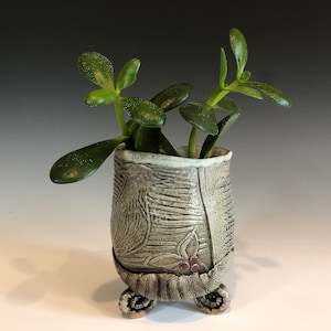 May include: A small, white ceramic planter with a textured surface and a floral design. The planter has four legs and is holding a small green plant.