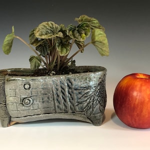 Puede incluir: Una maceta de cerámica gris con una superficie texturizada y una pequeña planta verde creciendo en su interior. La maceta tiene forma de zapato y un diseño único. Una manzana está sentada junto a la maceta.