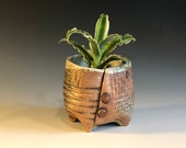 Small Footed Planter with Buttons