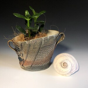 Puede incluir: Un pequeño macetero de cerámica gris con dos asas y una superficie texturizada. El macetero está lleno de musgo marrón y una pequeña planta verde. Una concha blanca se encuentra junto al macetero.