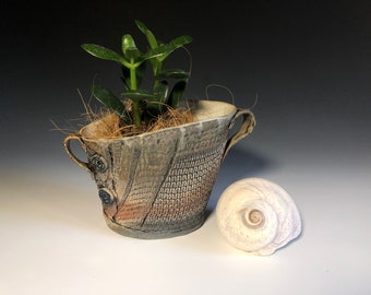 May include: A small, gray ceramic planter with two handles and a textured surface. The planter is filled with brown moss and a small green plant. A white seashell sits next to the planter.