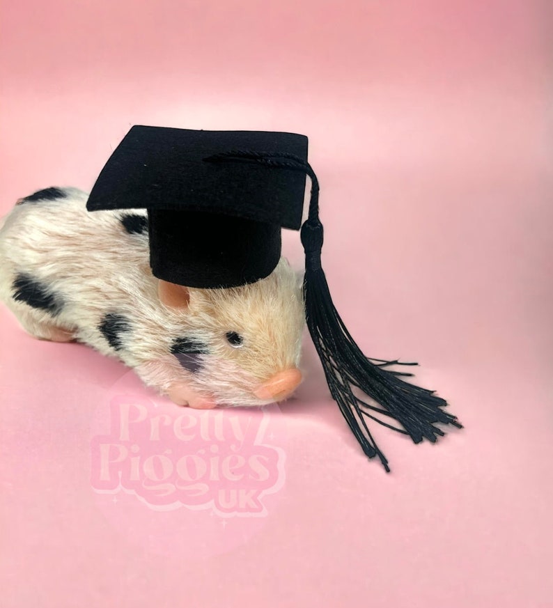 Graduation Hat for Silicone Piglet