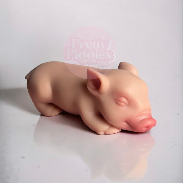 Bald Silicone Piglet Sleeping with Eyes Closed - Lifelike Reborn Pig Doll | Reborn Piglet, Silicone Piglet, Micro Silicone Pig