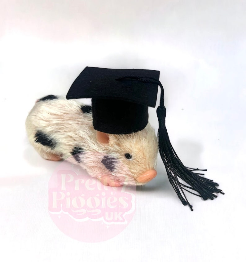 Graduation Hat for Silicone Piglet