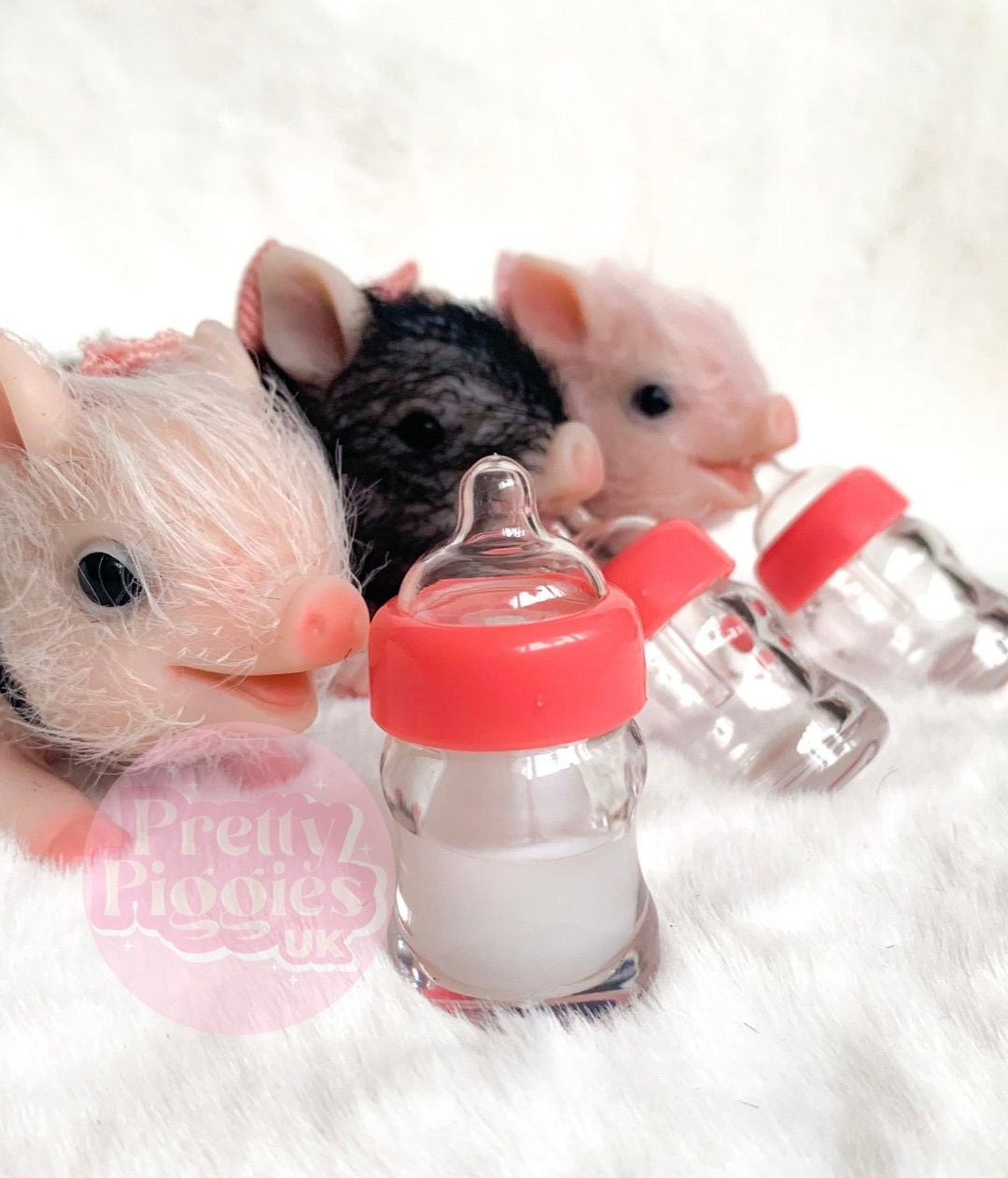 Reborn Piglet Milk Bottle for Silicone Piglets Micro Pig Etsy UK
