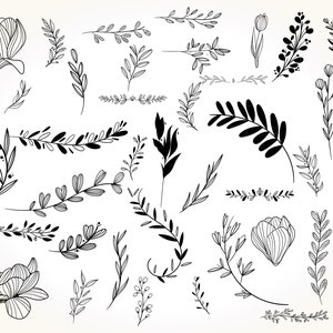 May include: A set of 25 black and white floral illustrations, including leaves, branches, and flowers. These illustrations are perfect for adding a touch of nature to your designs.