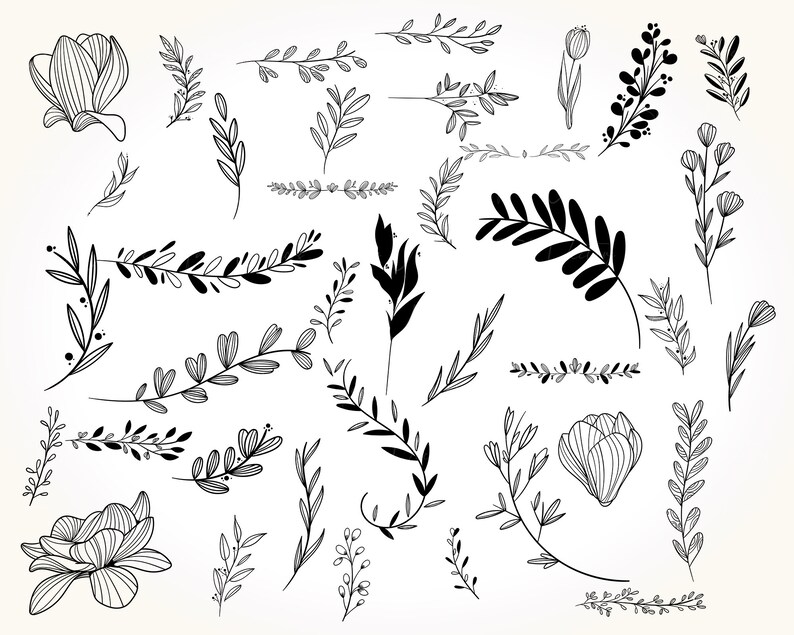 May include: A set of 25 black and white floral illustrations, including leaves, branches, and flowers. These illustrations are perfect for adding a touch of nature to your designs.