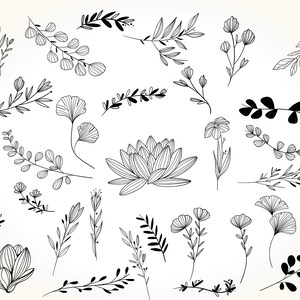 May include: A collection of black and white line drawings of various floral and botanical elements, including leaves, flowers, and stems. The drawings are simple and elegant, and would be perfect for use in a variety of creative projects.